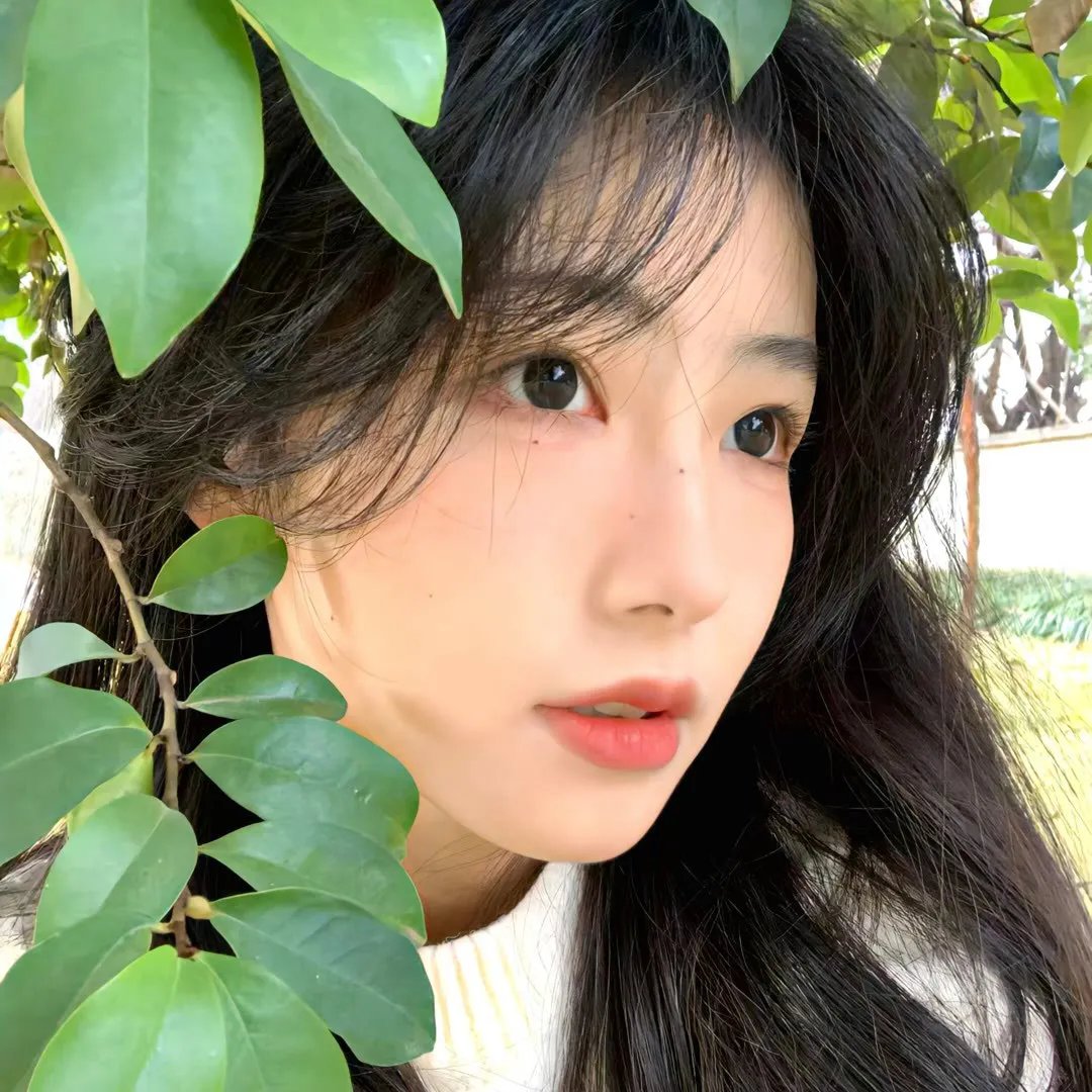 大雄的月球探测记
